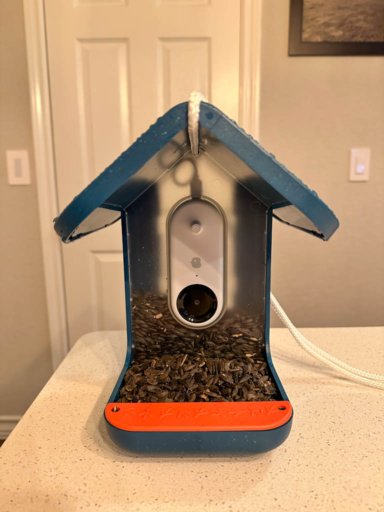 Bird buddy bird feeder