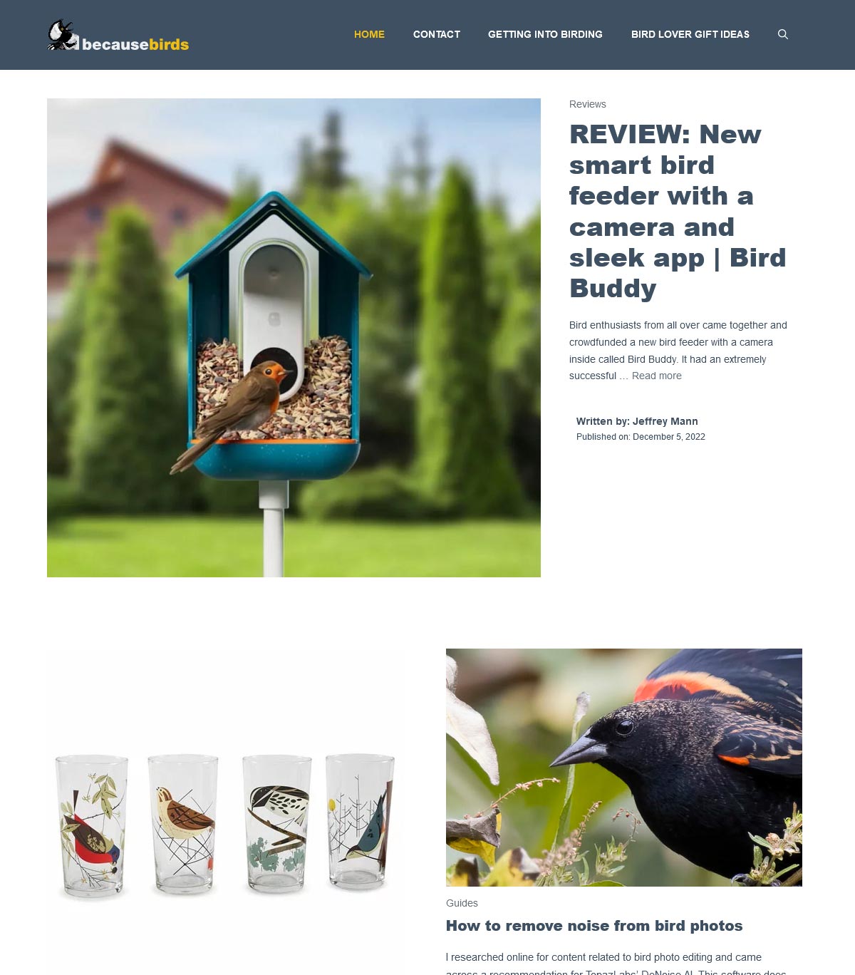 homepage of because birds in 2022