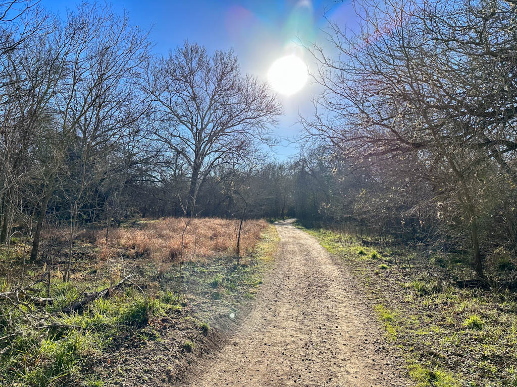 Medina river natural area trail