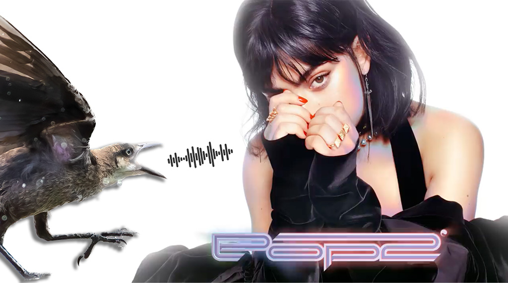 charli xcx great tailed grackle out of my head